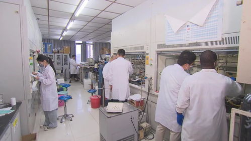 安徽 新材料产业激活经济发展新动能